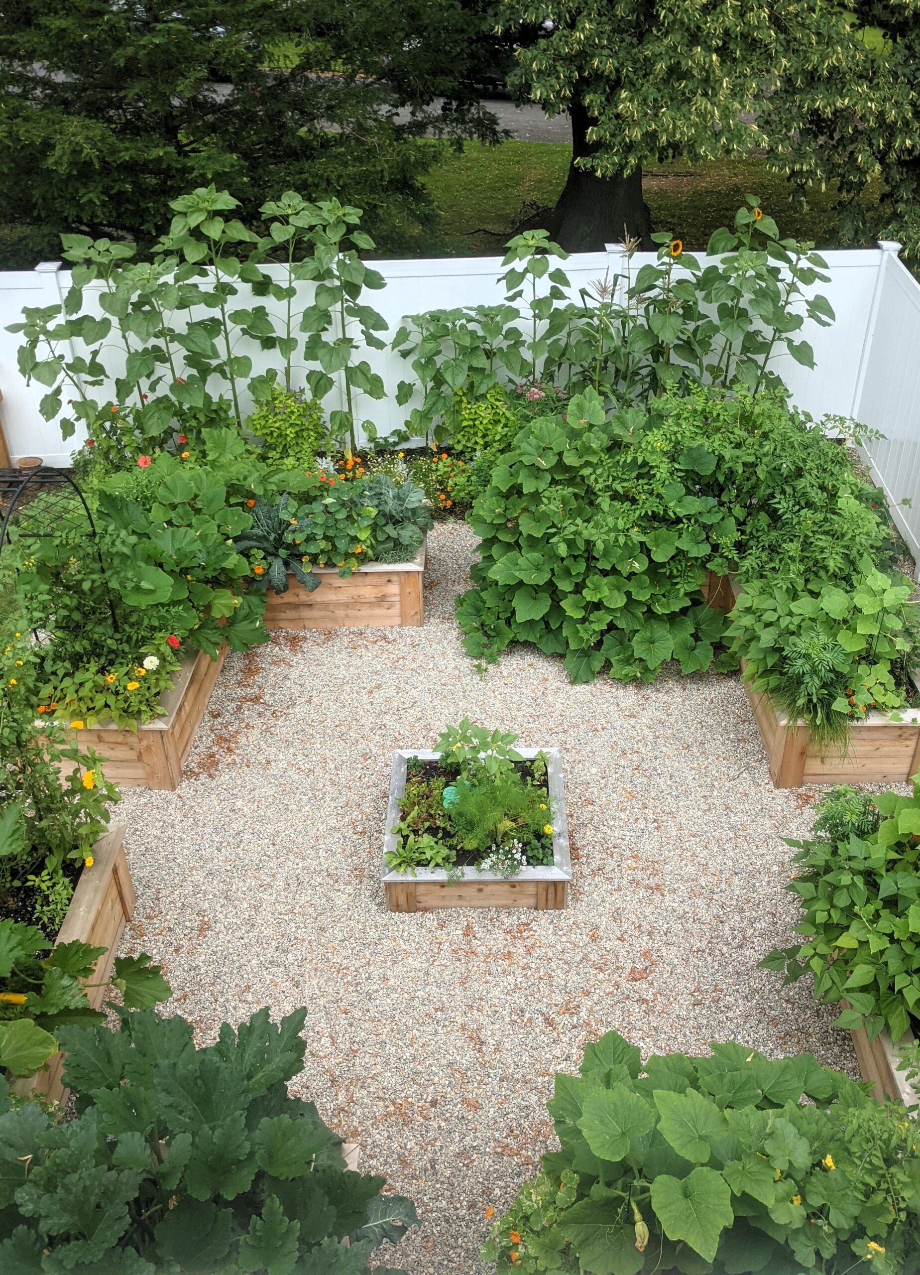 Garden terms defined for a beginner gardener. Raised bed kitchen garden.