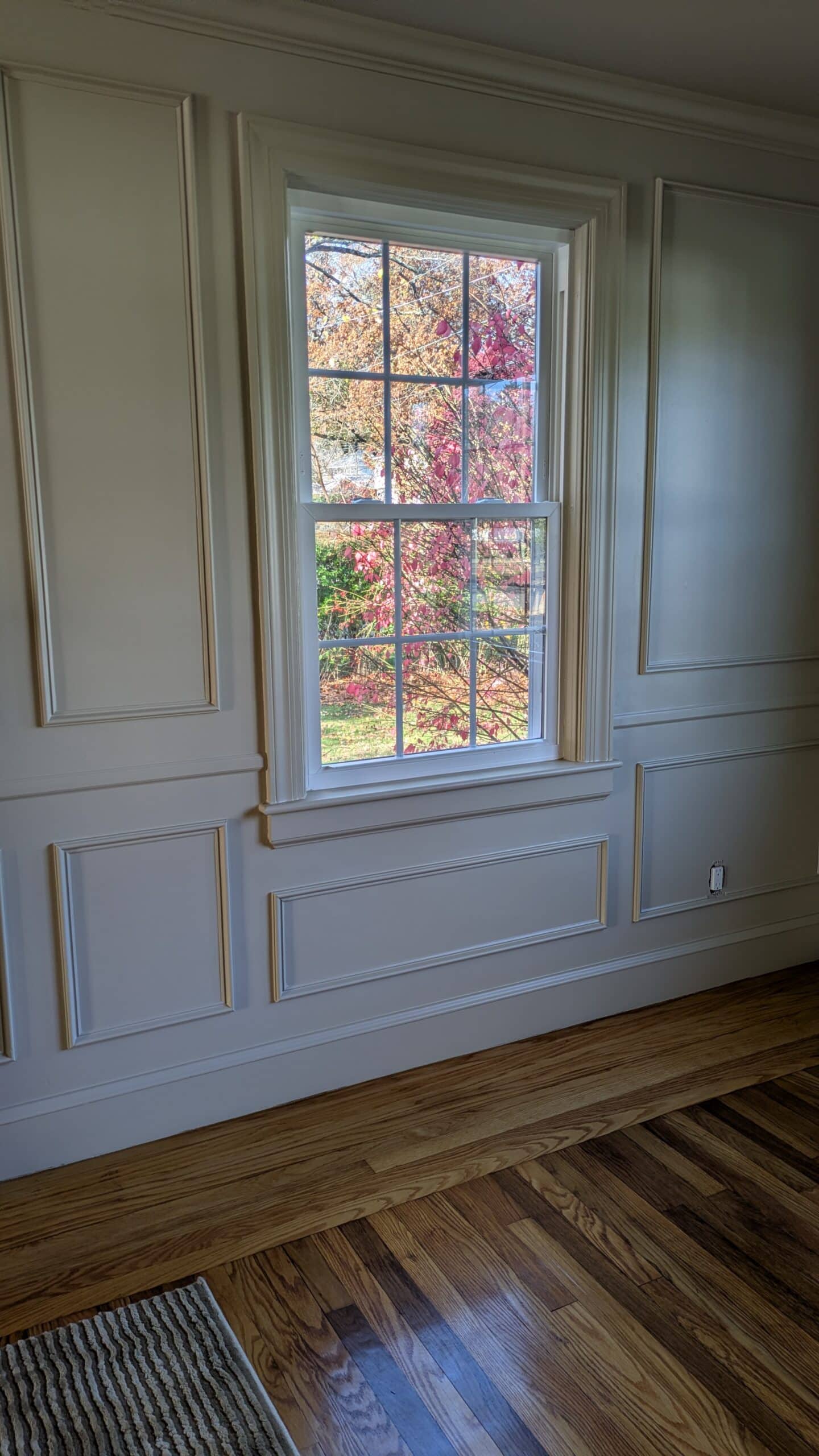 View of a wall with wall treatment (boxed trims) A window showing off Fall foliage from outside. The paint is a warm honey tone.