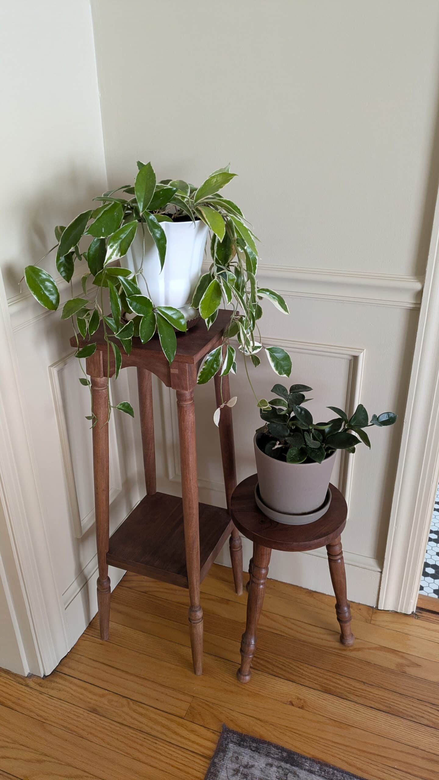 Cunningham plant stand with Hoya plant and a small wooden plant stand with another plant on it